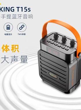 维尔晶T15S乐器音箱高品质音效