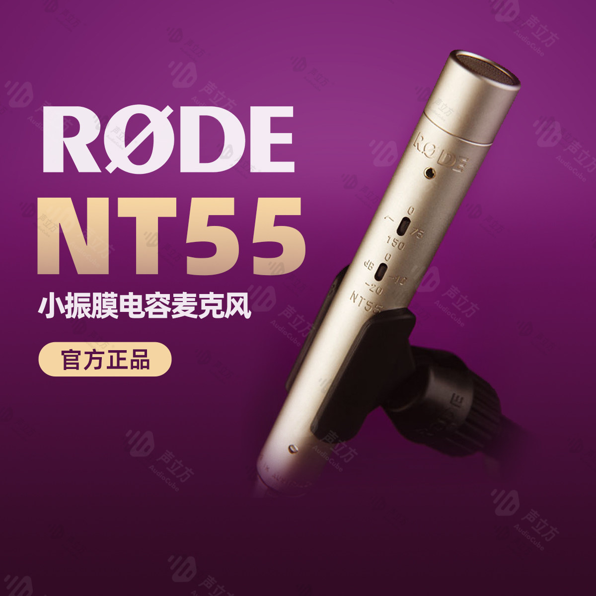 RODE罗德NT55小振膜电容麦克风多模式1/2"电容话筒吉他鼓乐队录音