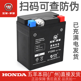 五羊本田NWG150 NWT150 PCX150 PCX160原厂起动蓄电池总成电瓶