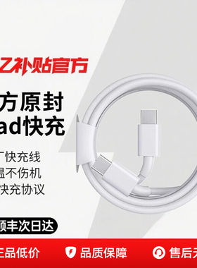顺丰适用苹果ipad充电线ipadpro原30W平板数据线快充2023充电器线mini5双头Typec正品Air4电脑PD套装
