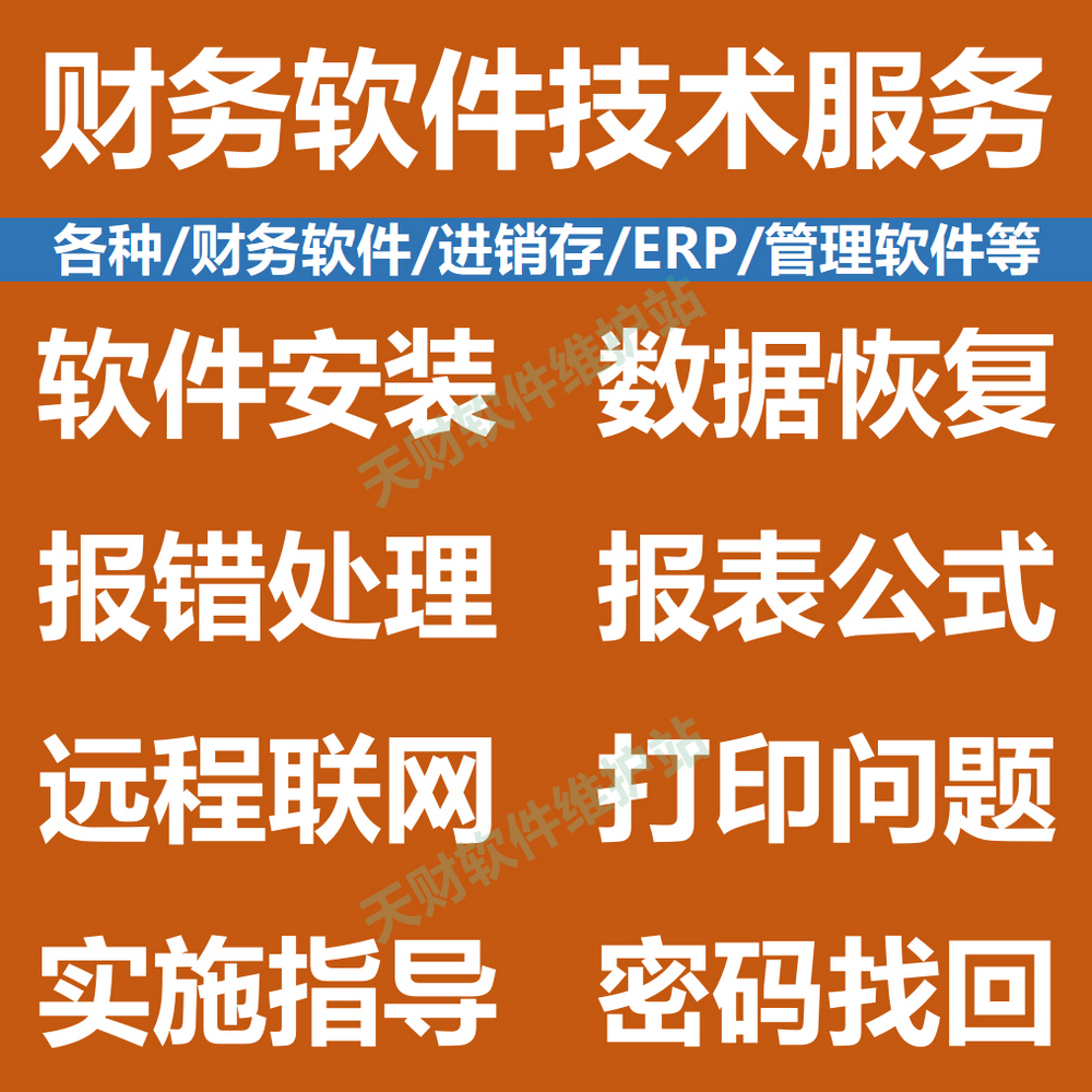 财务软件/进销存/ERP/管理软件、安装维护/数据恢复/密码找回