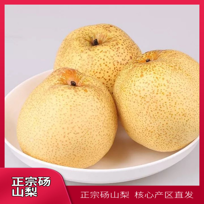 正宗安徽砀山梨酥梨5斤10斤百年老梨树沙土地现摘先发母梨包邮梨