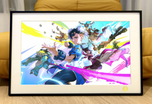 《守望x街霸》ow守望先锋朱诺黑百合春丽隆Chun-Li街头霸王装饰画