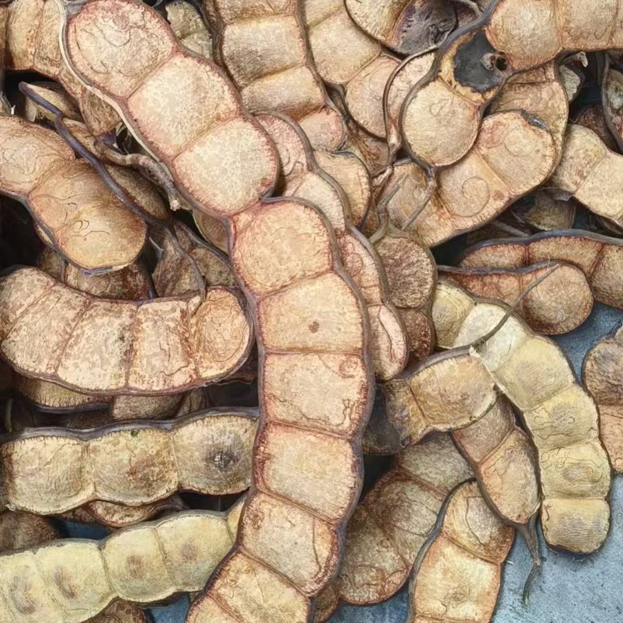 云南过江龙榼藤豆荚手作DIY丑萌可爱送闺蜜朋友豆荚材料批发