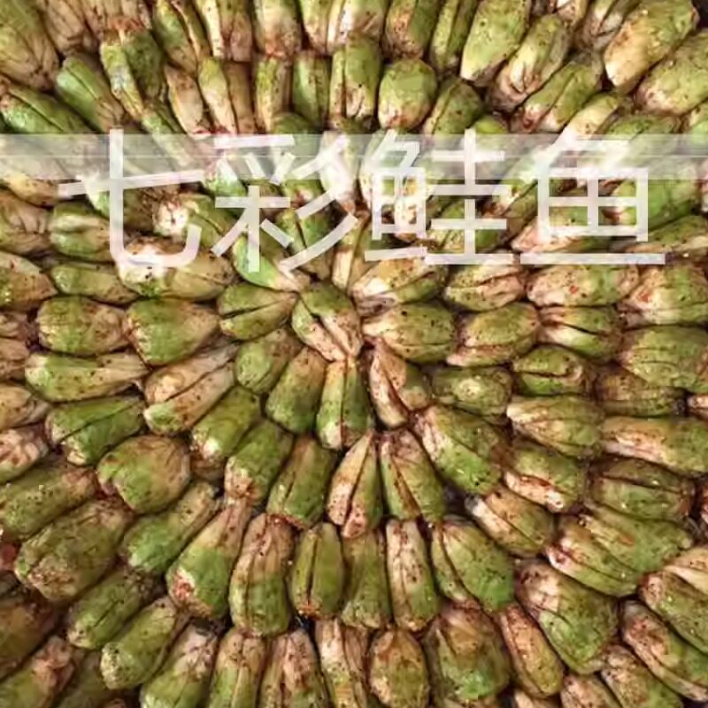 干香脆四川宜宾麻辣大头菜