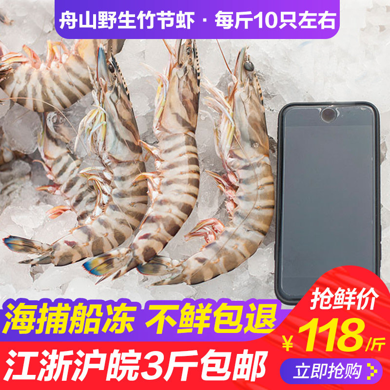 竹节虾野生斑节虾新鲜基围虾超大虎虾舟山海虾海鲜水产