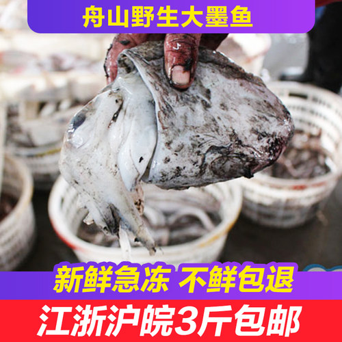 舟山新鲜野生墨鱼冷冻水产