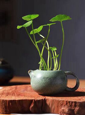 粗陶迷你铜钱草花插禅意家居桌面摆件水培绿陶创意花器陶瓷小花瓶
