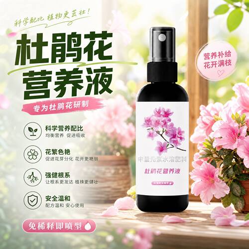 杜鹃花专用营养液免稀释花肥黄叶烂叶落蕾专用肥料厂家批发叶面肥
