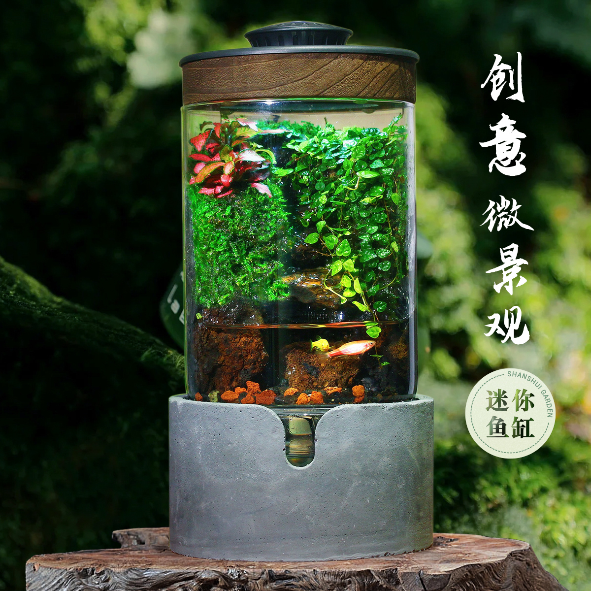 创意微景观流水生态瓶成品成品