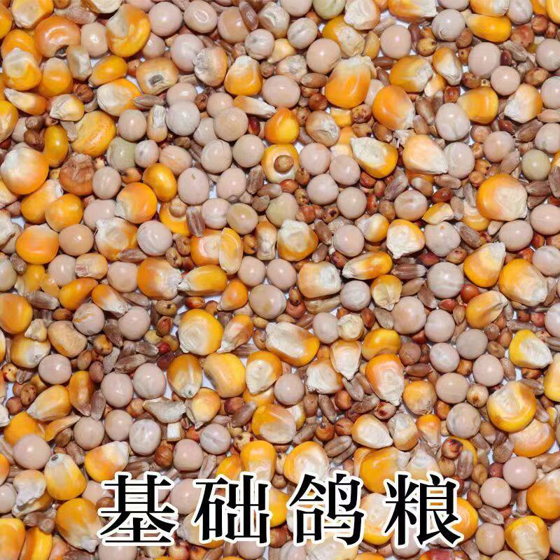 鸽粮有玉米营养鸟食赛飞信鸽肉鸽观赏鸽幼鸽小颗粒新粮食营养饲料