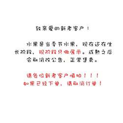 云南应季水果半边红脱骨李全国包邮