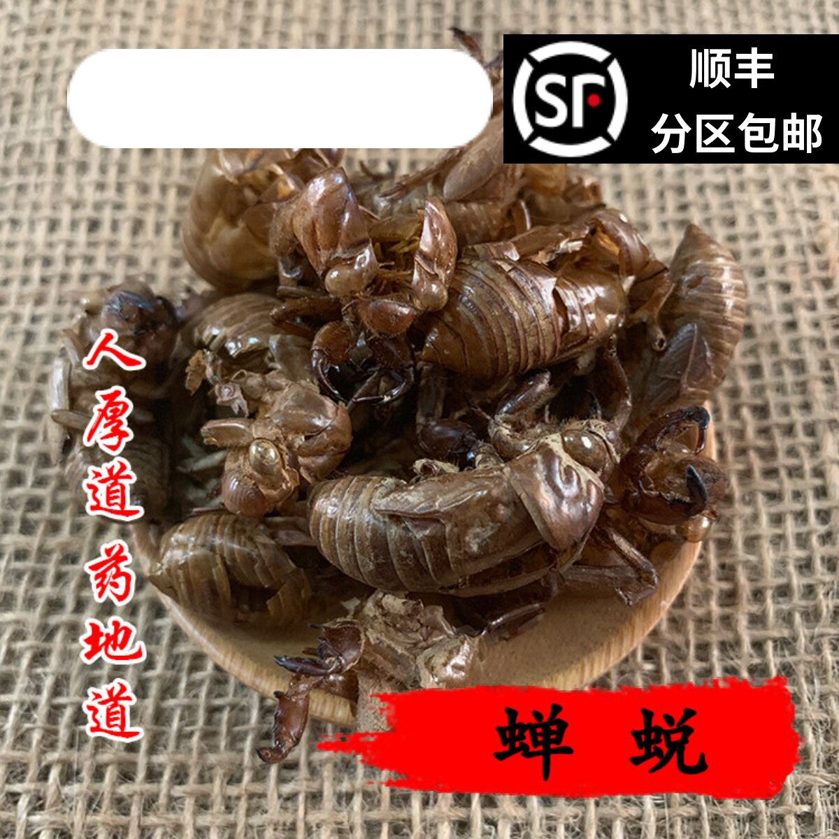 精选 中药材 蝉蜕 虫退 知了皮 蝉衣 50g 可打粉 满包邮