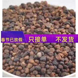 中药材 马兰子  马蔺子 50g  不可打 满包邮