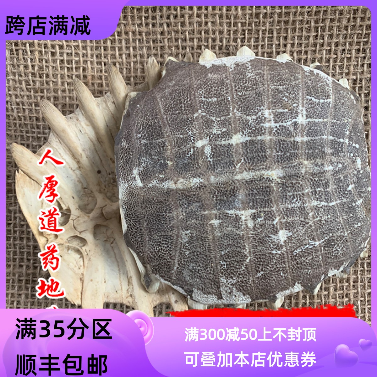 100g鳖甲整个可打粉满包邮