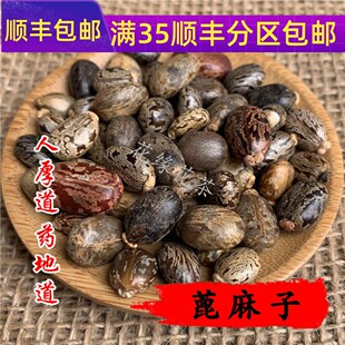 中药材 蓖麻子 麻子 蓖麻籽 50g 不可打粉 满包邮