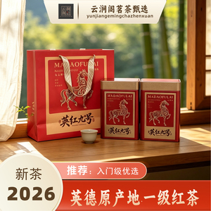 英红九号2026新茶一级双罐礼盒