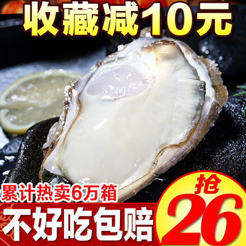 牡蛎海鲜水产带壳乳山生蚝