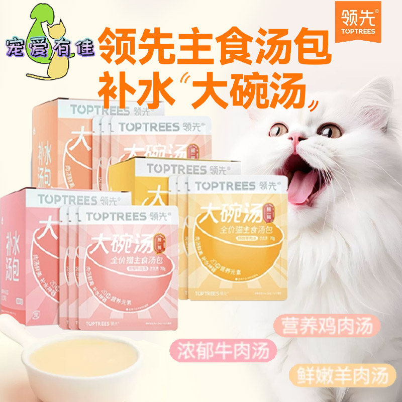 3款鲜美靓汤高温蒸煮仙汤浓郁