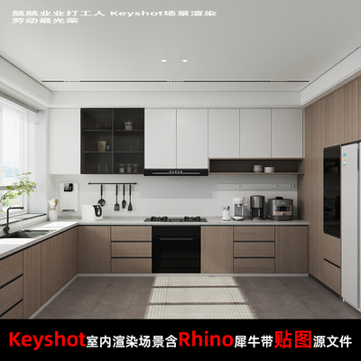 Keyshot2024室内场景渲染源文件Rhino模型厨房场景洗手池灶台