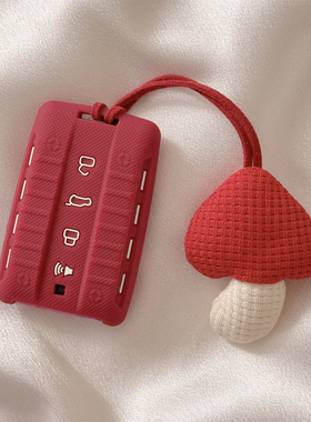 专用坦克300钥匙套500车400壳700三百500hi4z新400hi4t扣25款2026