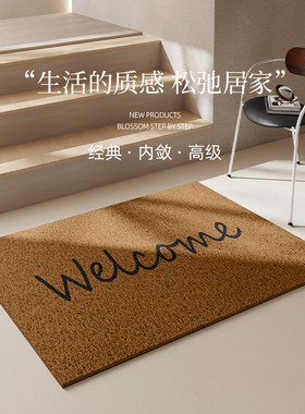 网红地垫入户门垫刮泥蹭土耐磨防滑丝圈进门脚垫裁剪定制玄关地毯