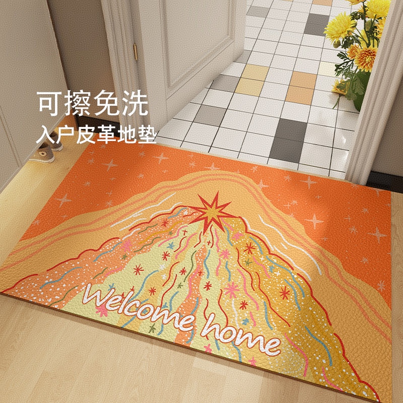 多彩火山爆发皮革入户门地垫家用