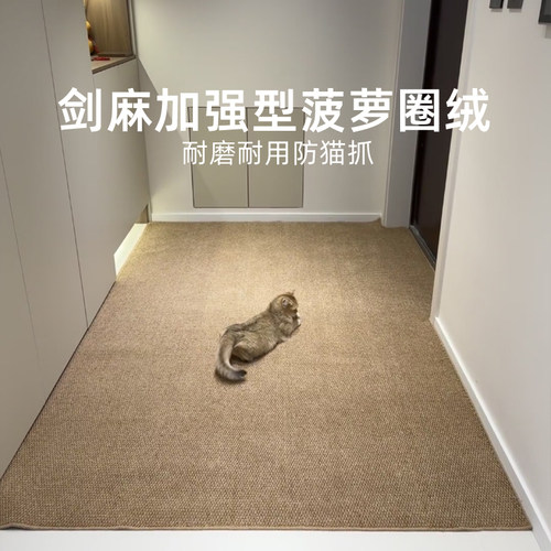 仿剑麻地垫入户门垫高端入户门口脚垫玄关纯色耐脏垫子可裁剪地毯