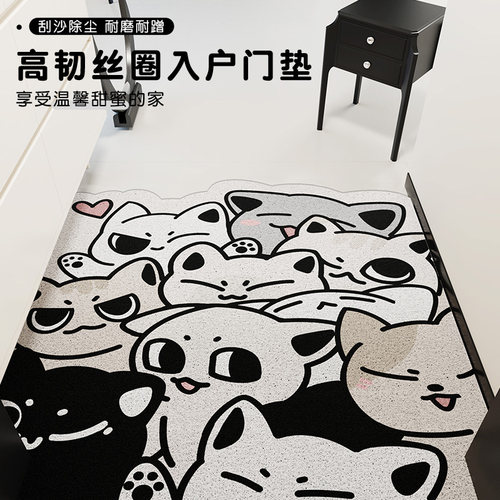 入户地垫可擦免洗防水防污
