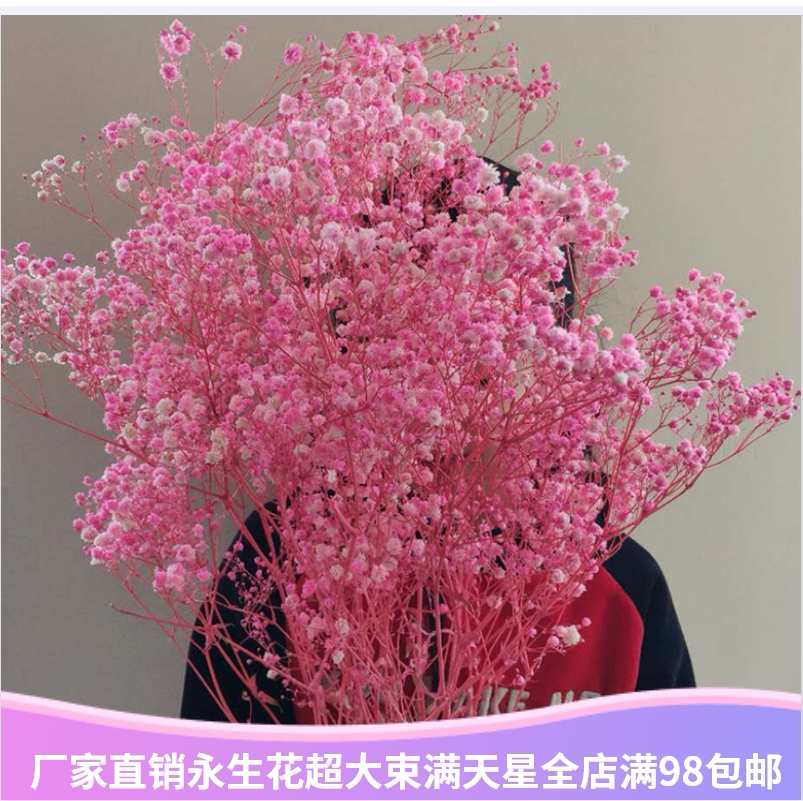 永生花diy材料包满天星干花网红家居装饰摆客厅办公室摆件插花束