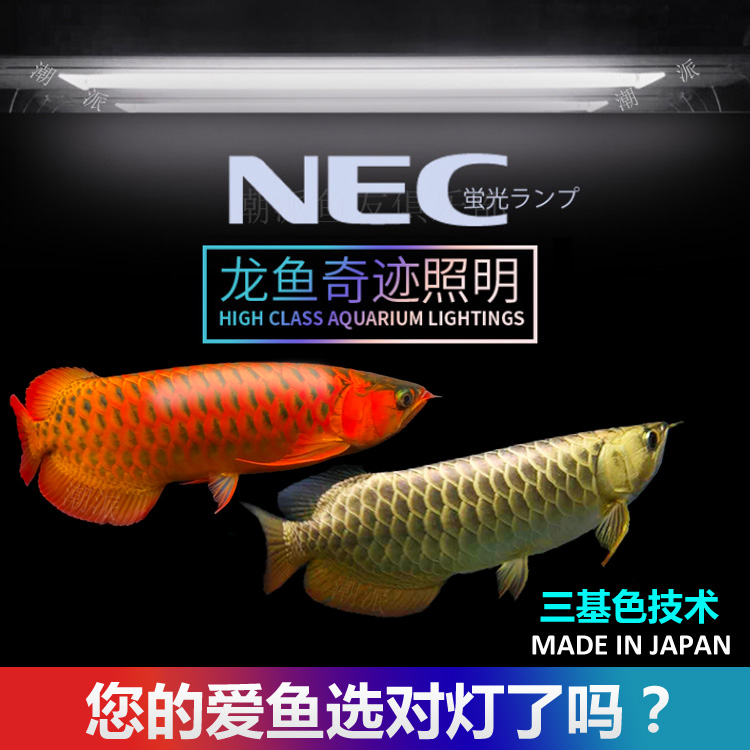 ÈÕ±¾NECÓã¸×T8·ÀË®Èý»ùɫˮ×åÕÕÃ÷µÆÁúÓãÆæ¼£ÔöɫDZˮµÆË®²Ý6700k