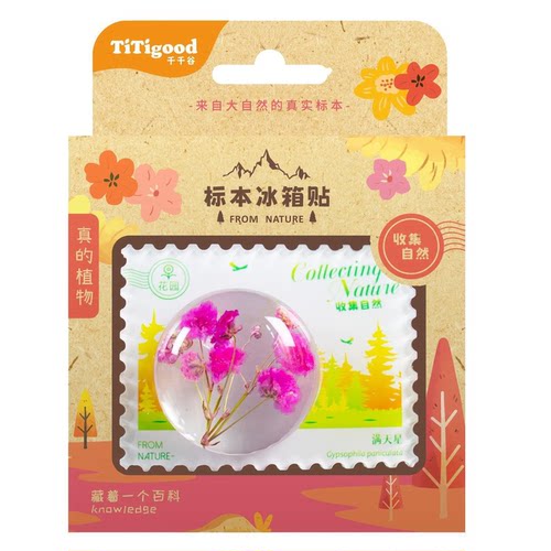 TITIgood 千千谷标本教具儿童益智认知玩具自然植物5-9岁冰箱贴