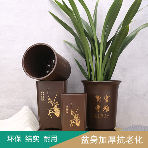 PP树脂材质兰花专用盆