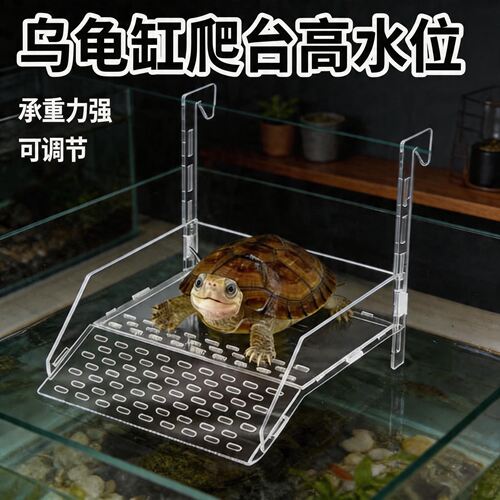乌龟晒台亚克力深水晒背爬台壁挂式透明造景爬梯高水位休息浮台