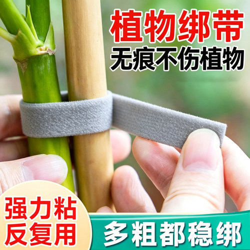 绿植绑带造型魔术贴花园带双面粘园艺扎线捆绑带支撑插花植物固定