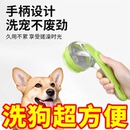 小狗狗沐浴刷洗狗适用工具宠物洗澡神器猫咪刷子按摩搓澡用品大全