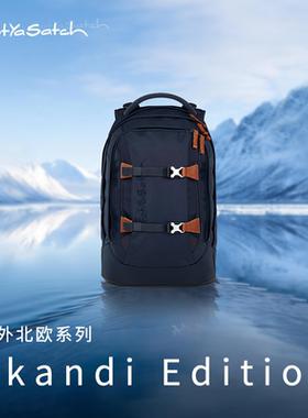 德国Gotyasatch戈撒驰护脊减负双肩包北欧系列经典款出行户外背包