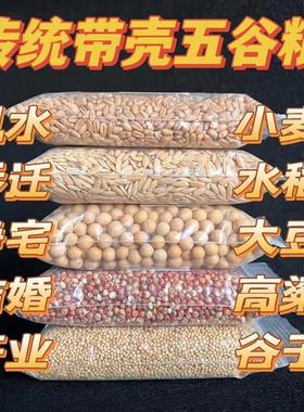 五谷杂粮净宅搬家用 搬家仪式用品带壳带皮 新房新居乔迁五谷丰登