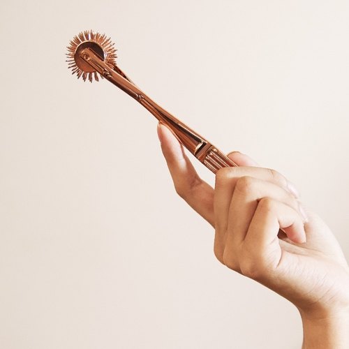 Red HOUSE 五十度灰同款 合金滚针按摩器 刺轮 前戏调情 BDSM道具