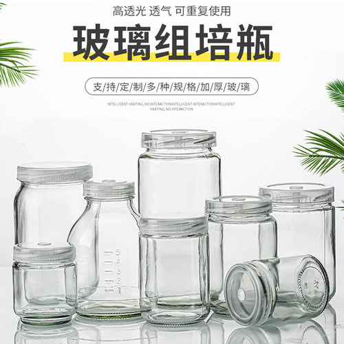 240ml玻璃瓶耐高温耐高实验
