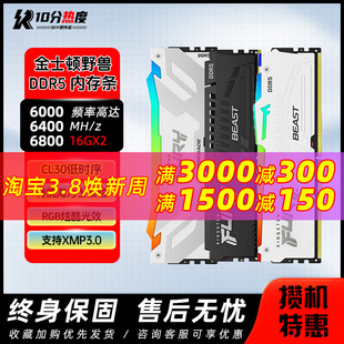 DDR5 神条野兽RGB 金士顿 32G 6000 6400 5600 骇客16G 5200