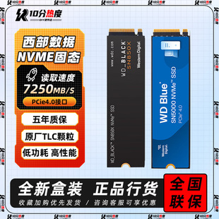 SSD SN770 M.2 SN7100 SN5000 SN850X 西部数据SN580