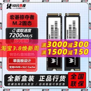 GM9000 1TB M.2 GM7000 SSD固态硬盘 GM9 宏碁掠夺者GM7