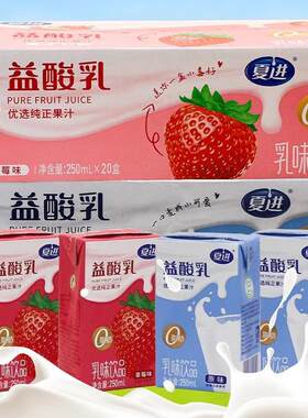 草莓乳味饮品250ml*20盒 夏进益酸乳食品乳味饮料多种口味早餐