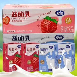 草莓乳味饮品250ml*20盒 夏进益酸乳食品乳味饮料多种口味早餐