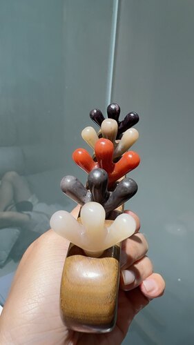 花靓子带脉刷