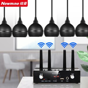 纽曼D20无线调频吊球吸顶音响 无线吊顶喇叭音箱会议室商超广播