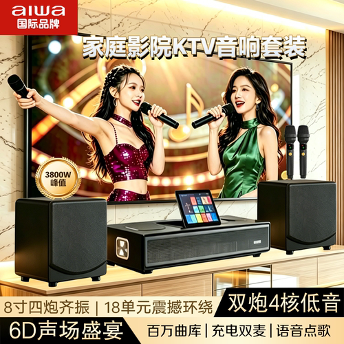 aiwa爱华WA222/666家庭影院KTV电视音响点歌机 K歌低音炮环绕音箱