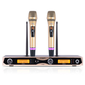 现代U8200无线话筒一拖二麦克风 防啸叫调频U段家用KTV会议主持