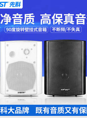 先科定压壁挂音响D40/D45/D50/D80高保真高低音喇叭音箱 广播音乐
